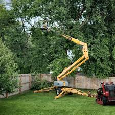Best Arborist Consultation Services  in Regency At Monroe, NJ