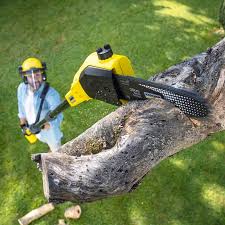 Best Emergency Tree Removal  in Regency At Monroe, NJ