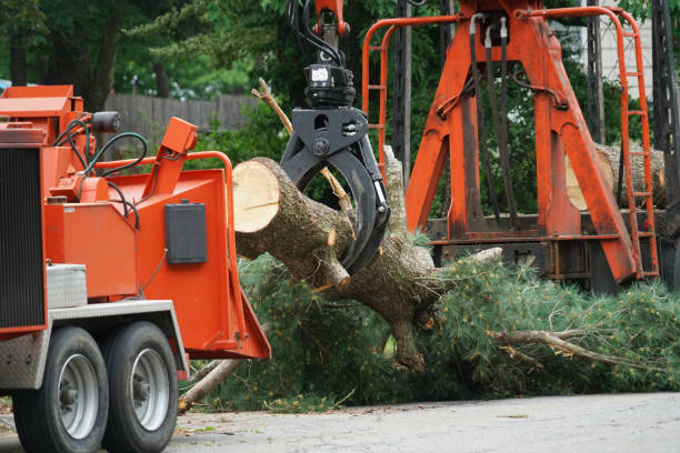 Best Seasonal Cleanup (Spring/Fall)  in Regency At Monroe, NJ
